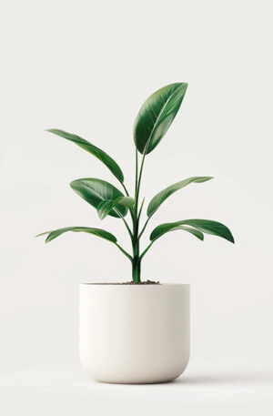 product 04